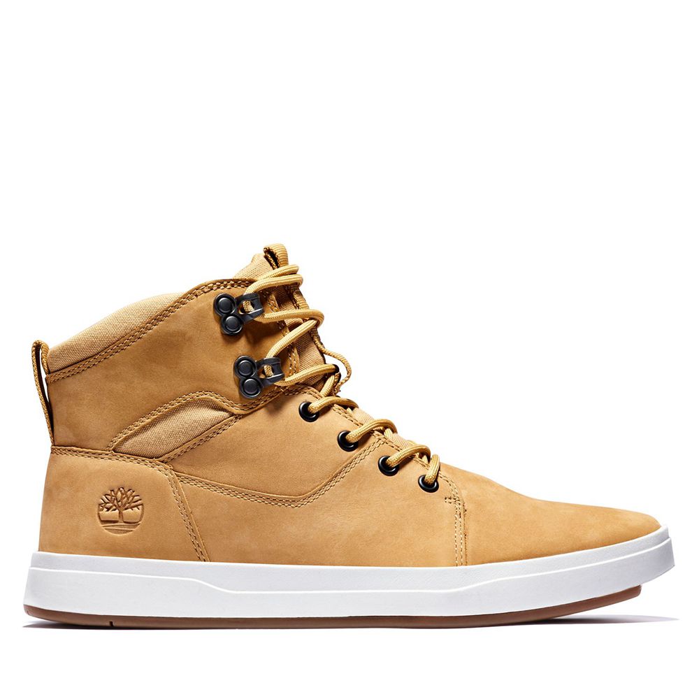 Bocanci Chukka Timberland Barbati Maro - Davis Square - Romania - VPLRNE423